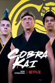 Võ Đường Cobra Kai (Phần 3)